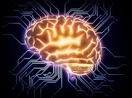 ساخت اولین رایانه زنده جهان با  مغز انسان!
