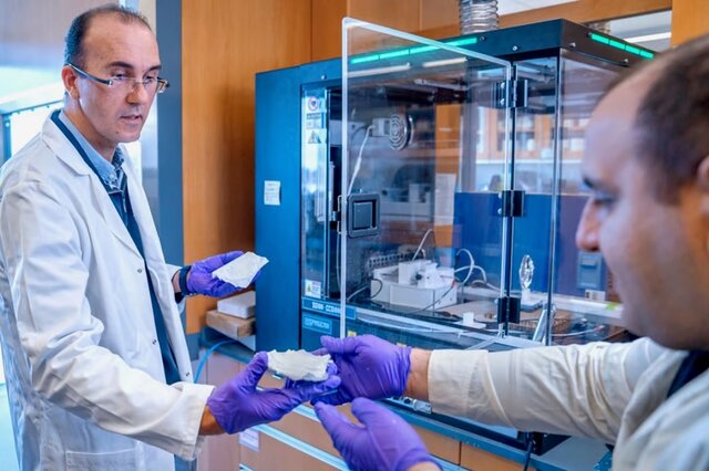 محسن علیشاهی دانشمند ایرانی دانشگاه کرنل پانسمان نابودگر باکتری بدون آنتی‌بیوتیک ساخت