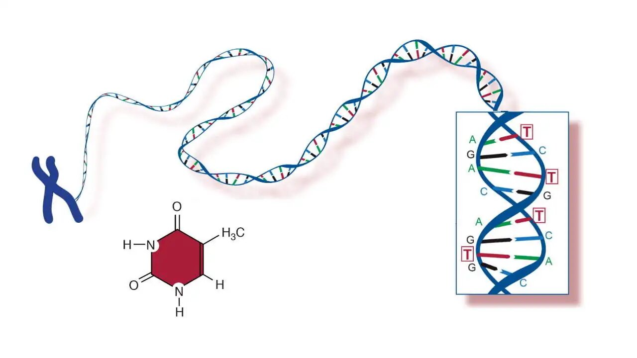 ردیابی DNA