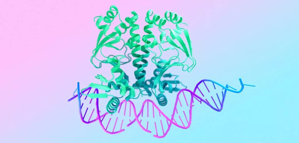 شبیه‌سازی DNA و سایر مولکول‌های زیستی با هوش مصنوعی DeepMind گوگل